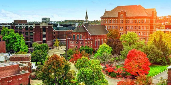 Duquesne University online msn course