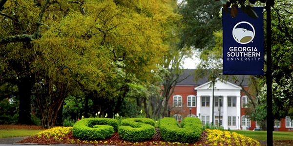 Georgia Southern University online msn degree