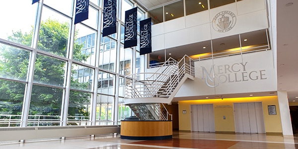 Mercy College online msn school