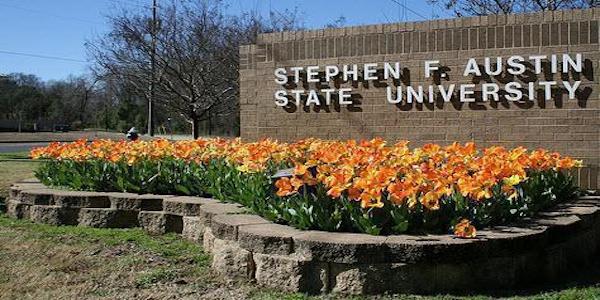 Stephen F. Austin State University best rn to bsn programs in texas