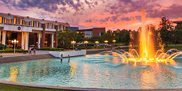 University of Central Florida Nursing Schools in Central Florida