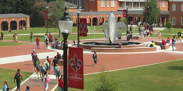 University of Louisiana at Lafayette online msn program