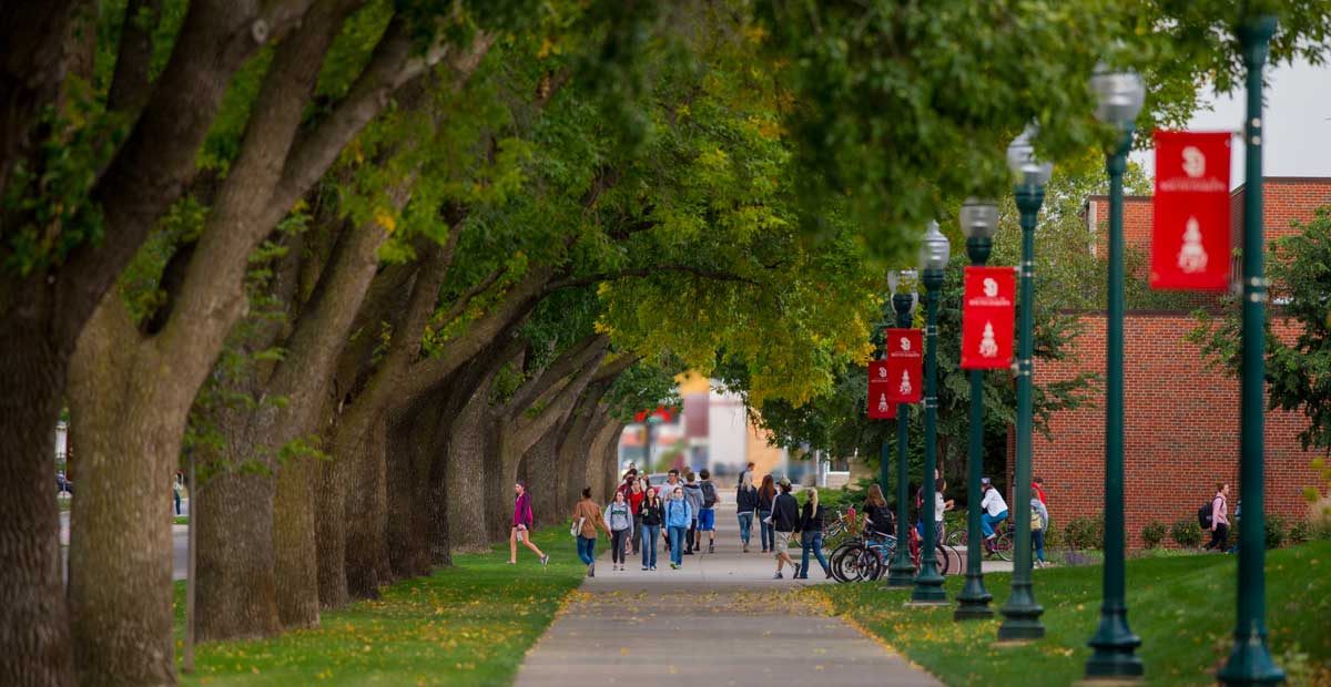 University of South Dakota online healthcare administration classes