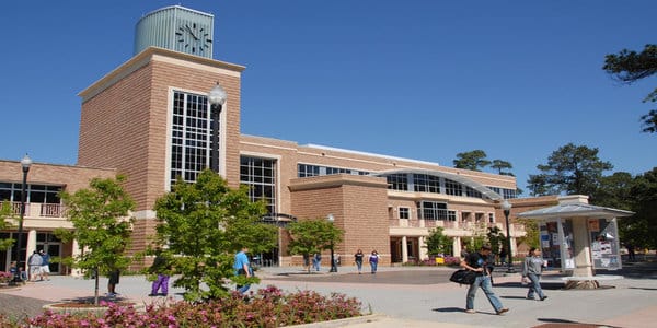 stephen f austin state university best rn to bsn degree in texas