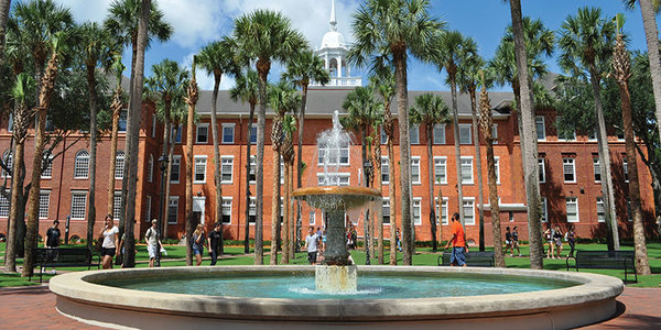 university of south florida rn to bsn program in florida