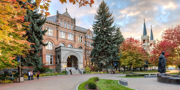 Gonzaga University best dnp courses