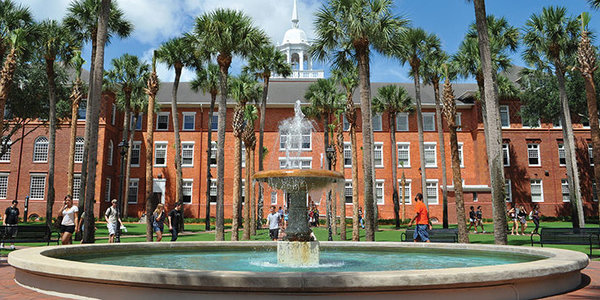 University of South Florida best dnp colleges