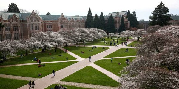 University of Washington best dnp colleges