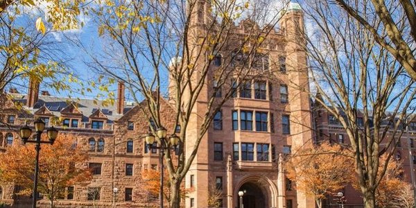Yale University best dnp colleges