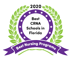 Best Nursing Schools in the South in 2023 (Online & On-Campus)