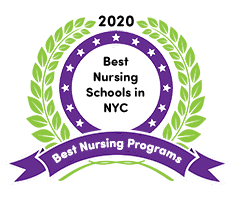 Best Nursing Schools in NYC in 2020 (Online & On-Campus)