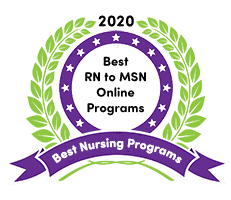 RN to MSN Online Programs