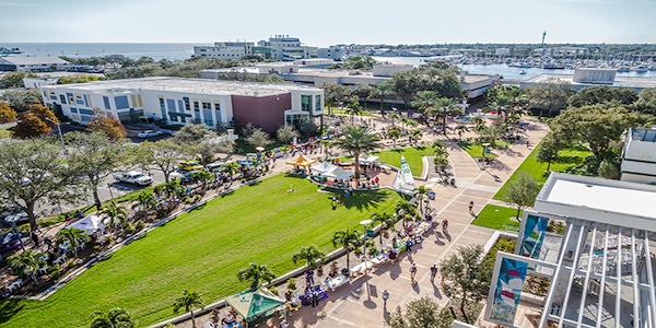 University of South Florida nursing schools in south florida