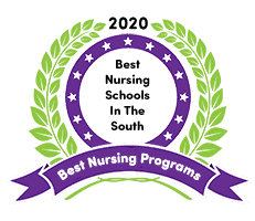 Nursing Schools In The South