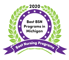 BSN programs in Michigan