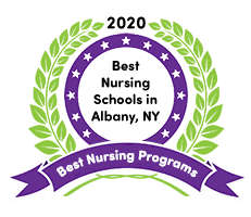 nursing schools in albany ny
