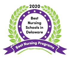 nursing schools in delaware