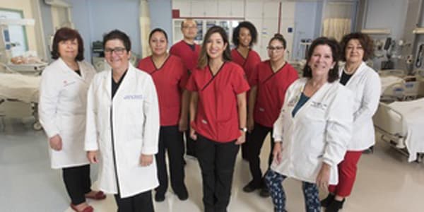 nursing schools in houston